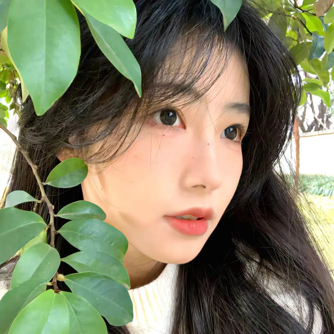 全员单恋中